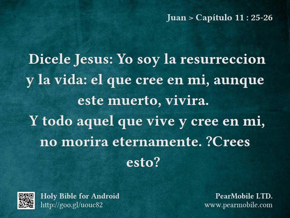 Juan, Capítulo 11:25-26